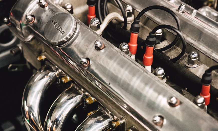 Image 9: FitCar24.com Premium‒Membership für 12 Monate für 1 Person