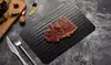 US 1-2 Pc Fast Defrosting Tray Rapid Thawing Board Safe Defrost Meat Frozen Food