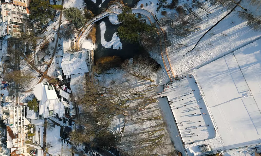 Enhance Your Look: 1 or 2 Eyebrow Lamination Sessions w/ Optional Tint