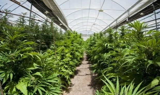 What to expect media