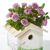 Image 4: Unique Live Plant Gifts FTD.com Same-Day Delivery Up to 55% Off
