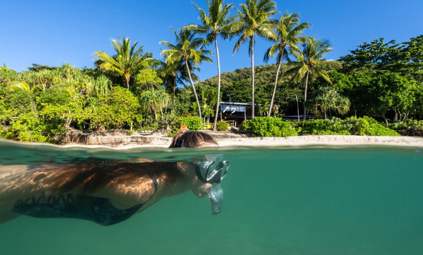 Image 2: Island Freedom, Quick Escape Ferry Pass, Full Day Boat Tour, and More