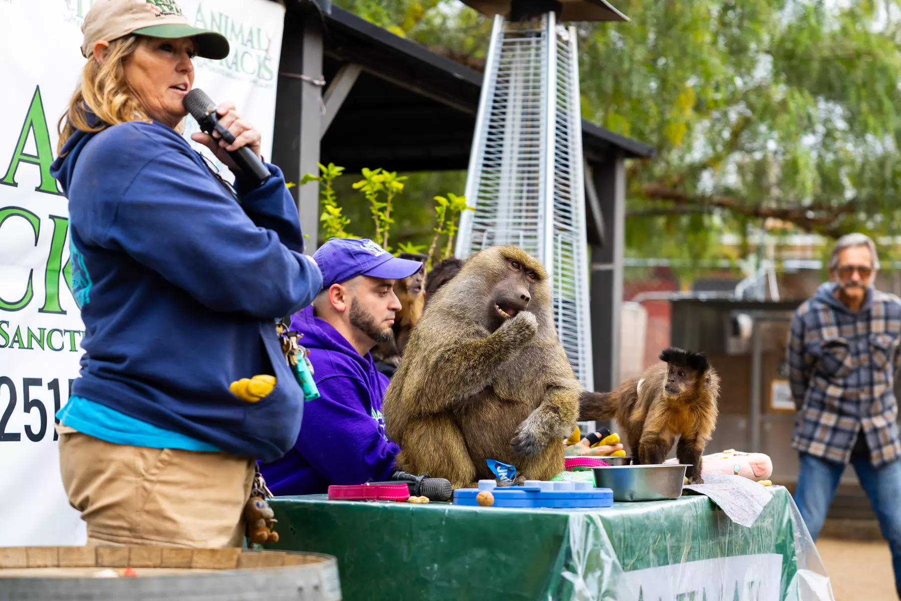 Animal Encounters, VIP Experiences, or Wildlife Educator for a Day!
