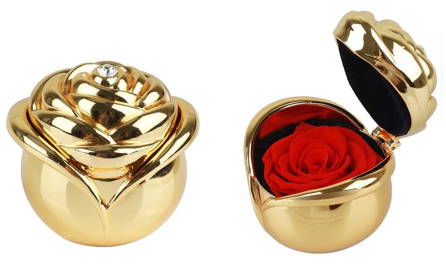 Image 3: Rosa eterna