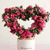 Image 4: 1-800-Flowers.com Deal: Next Day Valentine's Plants & Gifts Up to 50% off