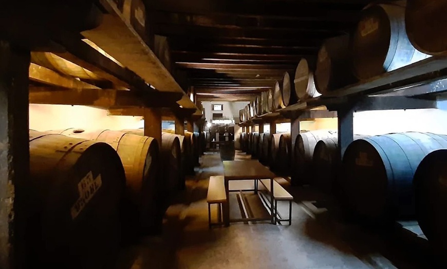 Image 14: Visita a una bodega, cata de vinos, vermut de bienvenida y aperitivo