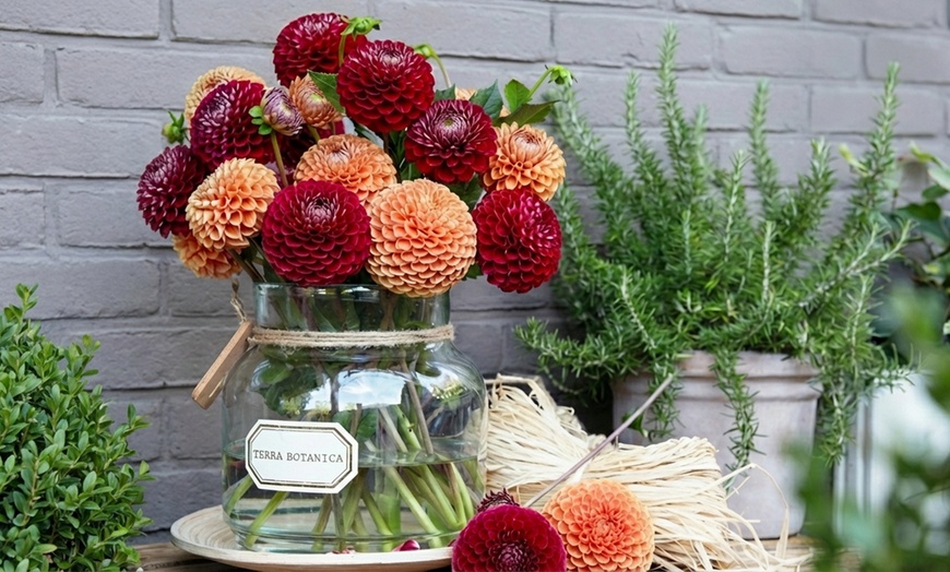 Image 7: Dahlia Romantic Bouquet Mix