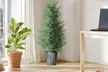 Set of Two HomCom Artificial Cypress Trees with PE Leaves for Indoor and Outdoor Use - Image 3
