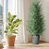 Image 3: Set of Two HomCom Artificial Cypress Trees 