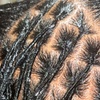 Image 7: Up to 42% Off on Hair Styling at Locs stylist