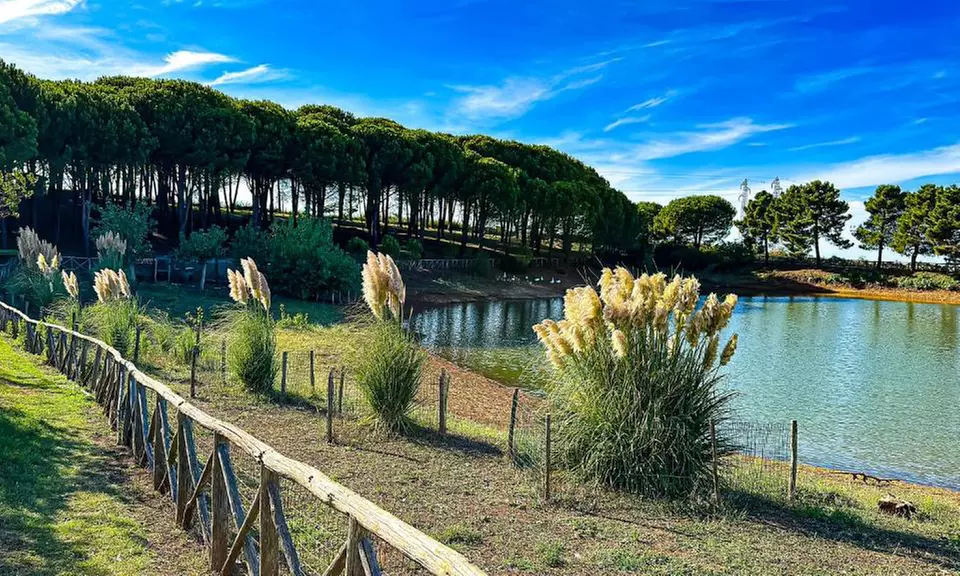 Vibo Valentia 4*: camera doppia con colazione, mezza pensione e Spa