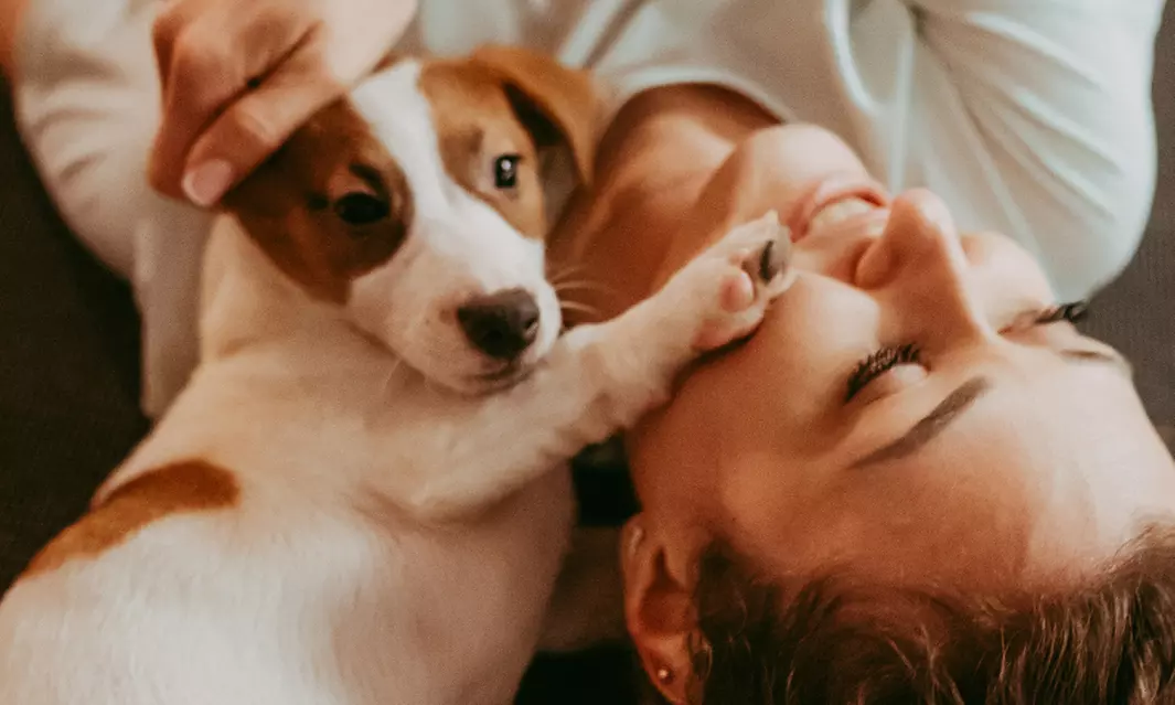 Odzyskaj równowagę i uśmiech: Sesja Pieski Yoga dla 1 lub 2 osób