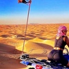 Image 9:  Standard, or VIP Desert Safari with Quad Bike, Camel Ride, & More