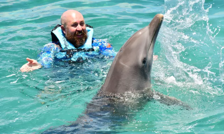 Up to 42% Off Dolphin Experiences at Dolphin Discovery