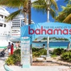 Image 3: Up to 12% Off 1-Day Round-Trip Bimini Ferry with Transportation