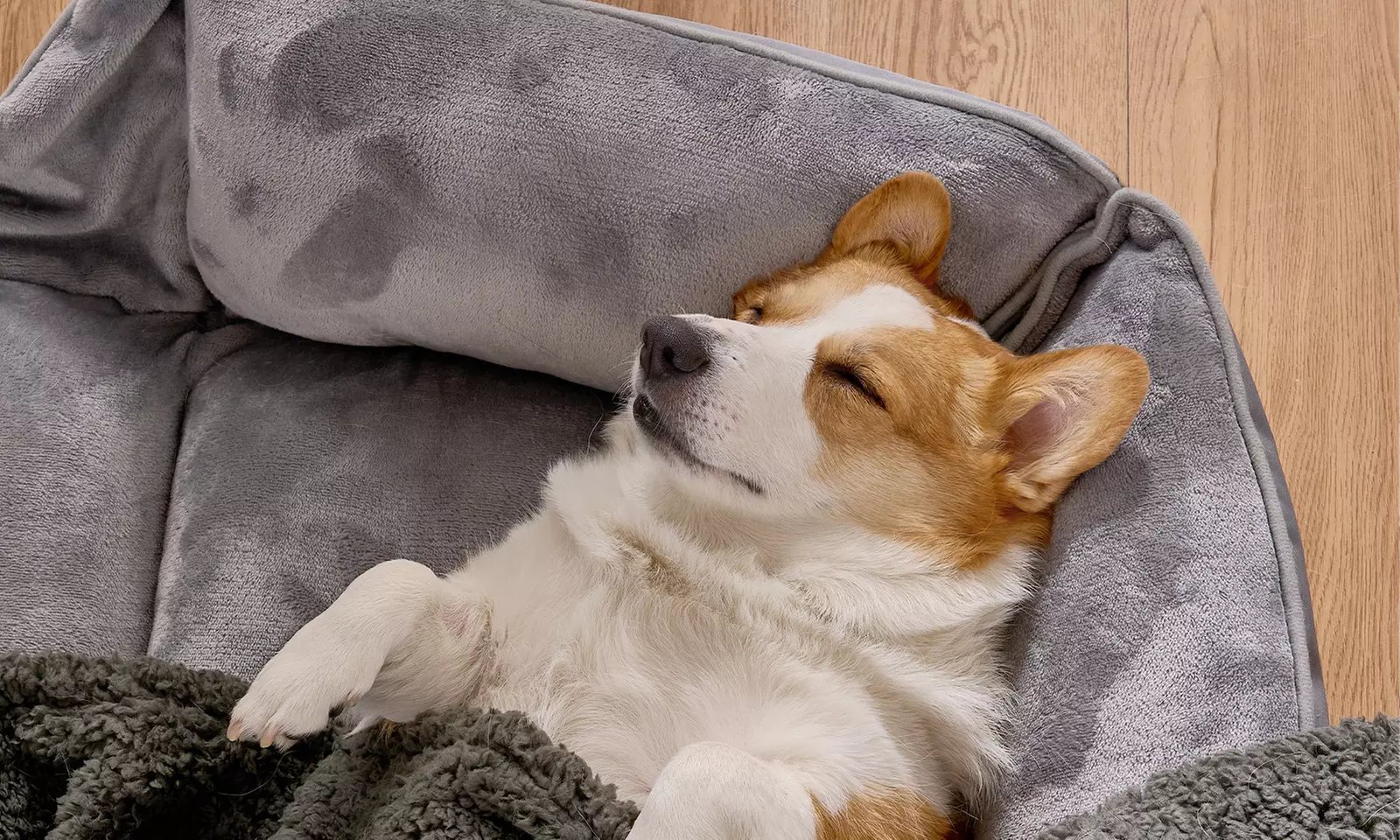 Clearance Dog Bed Cat Bed Soft Expandable Pet Pad Puppy Warm Cushion