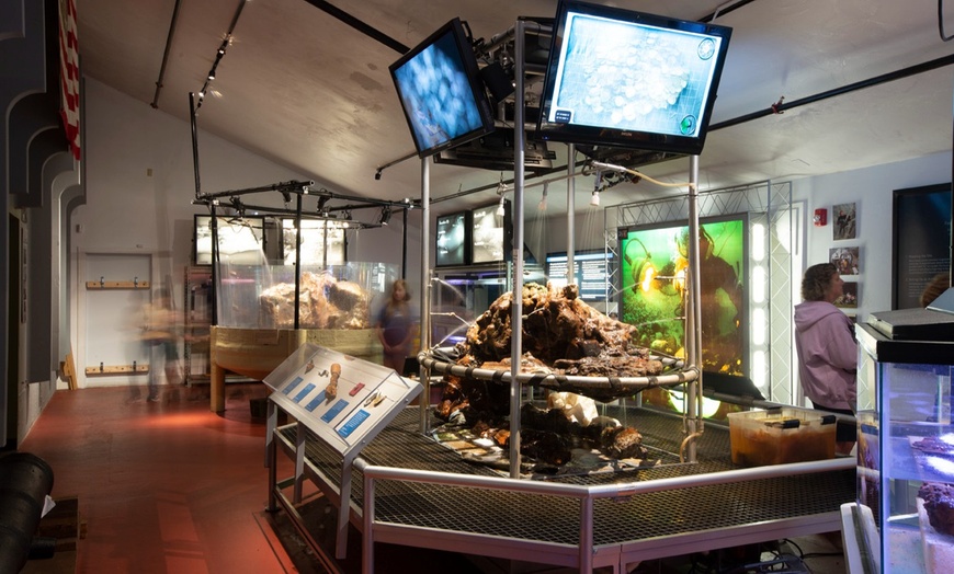 Image 8: Up to 46% Off Admission to the Whydah Pirate Museum