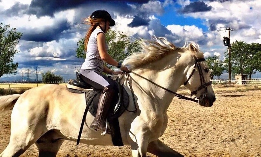 Image 5: Paseo a caballo en entorno natural para cualquier nivel (hasta 4 pax.)