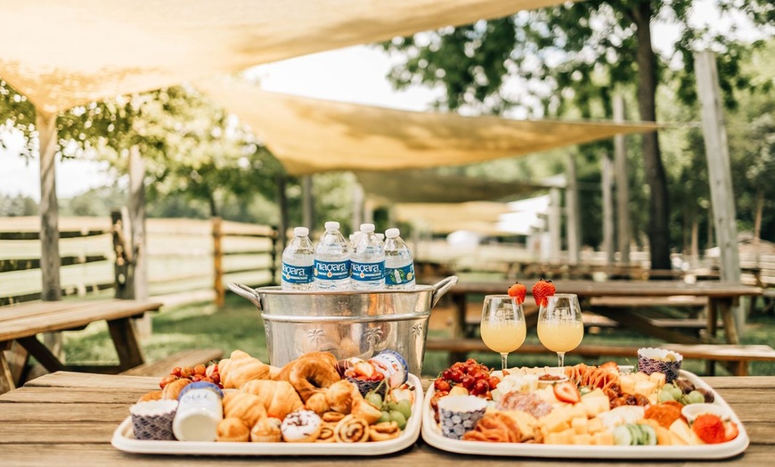 Image 6: Book a Group Event in the Scenic Virginia Countryside
