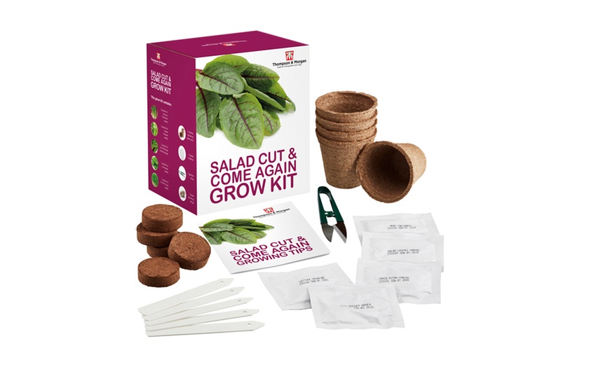 Image 23: Mixed Seed Grow Kits