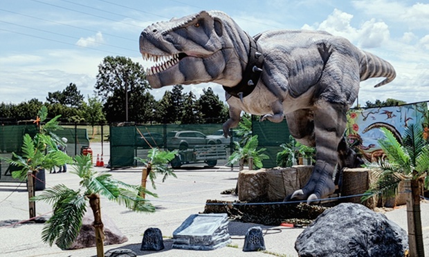 What to expect media