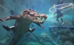 Darwin: Crocodile Cove Entry, Tour or 'Cage of Death' Experience