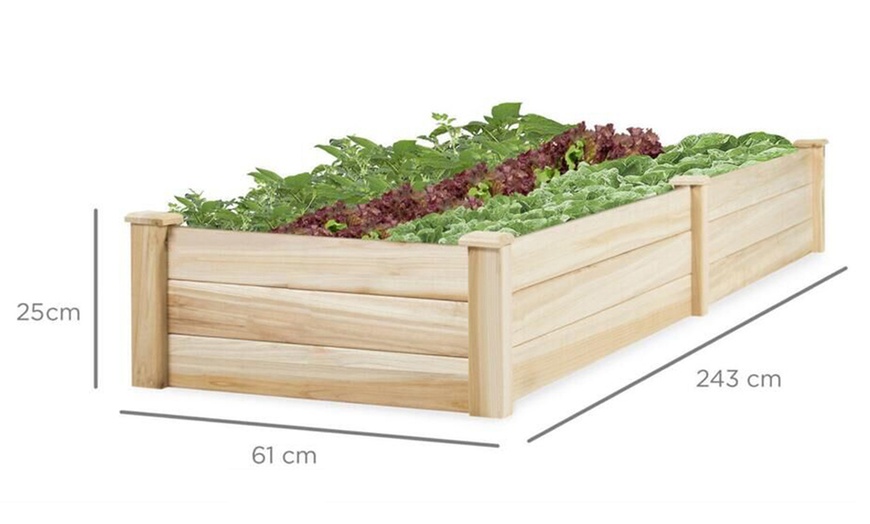 Image 5: Varnish-Coated Solid Wood Raised Garden Bed with Two Compartments