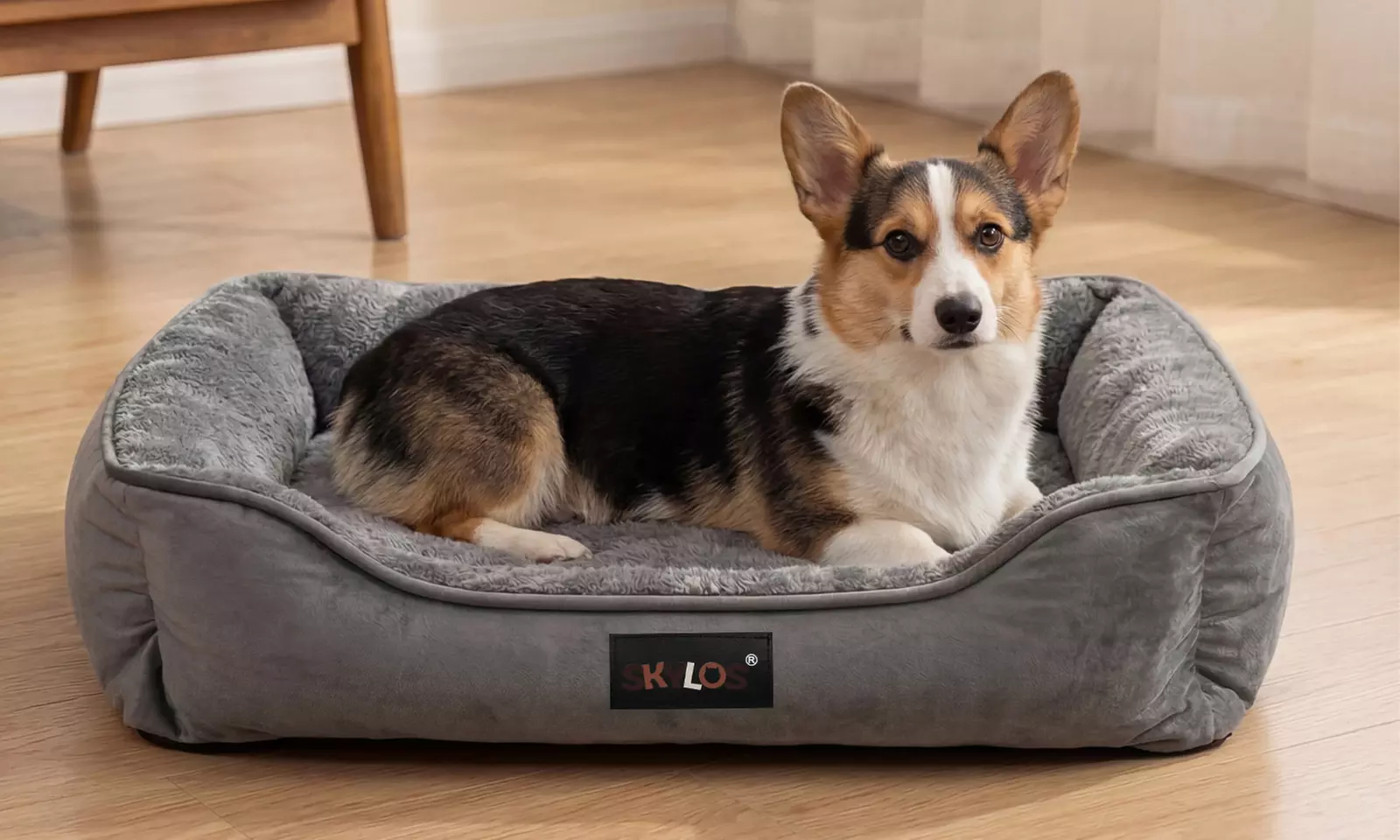 Skylos Orthopaedic and Coral Fleece Pet Beds