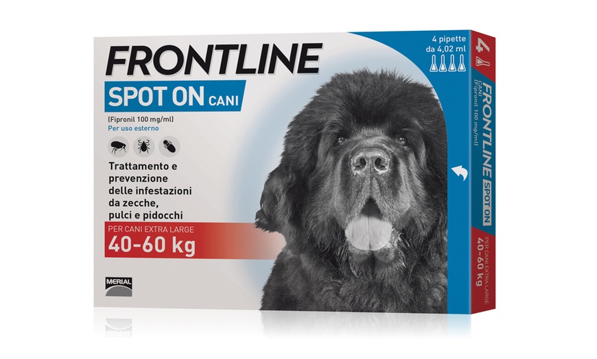 Image 9: Frontline per cani e gatti