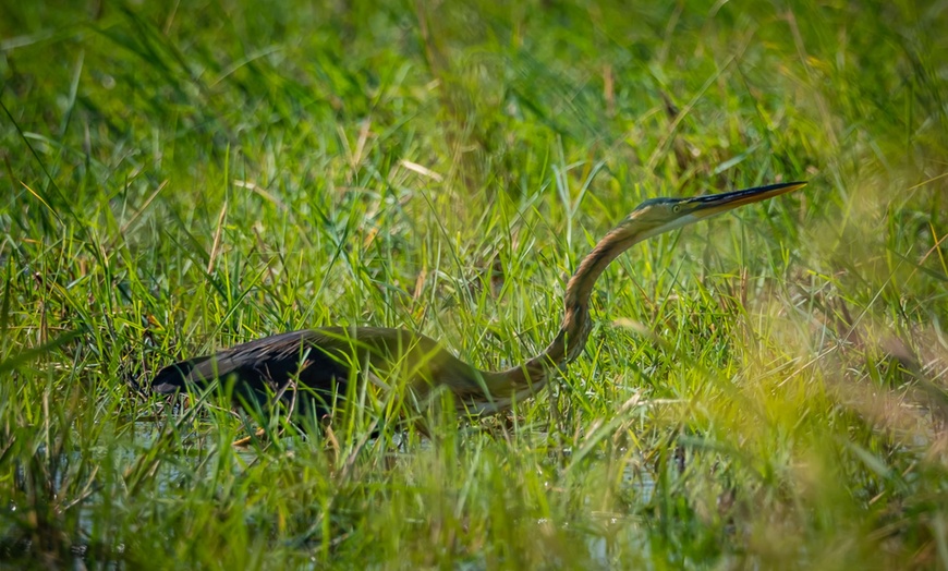 Image 39: Zimbabwe: 7-Night Yoga & Safari Retreat
