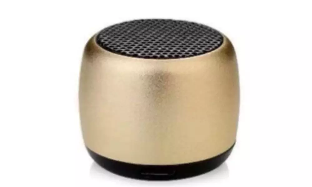Portable Bluetooth Speaker, 3D Surround Sound & Built-In Microphone