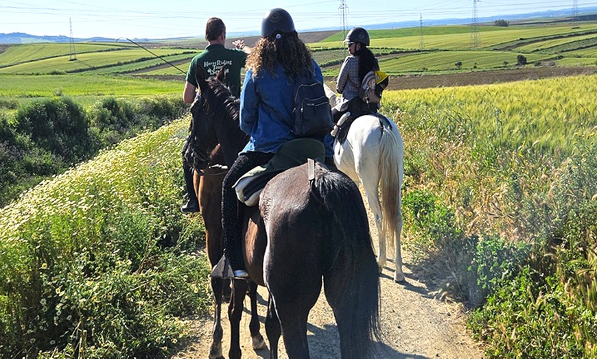Image 9: Ruta a caballo de 90 minutos por el Aljarafe hasta Itálica