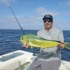 Image 3: One Full-Day Offshore Fishing Trip for Up to Four People