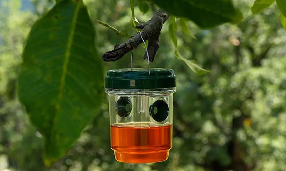 1x oder 2x Solar-Insektenfalle für Stechmücken und Wespen