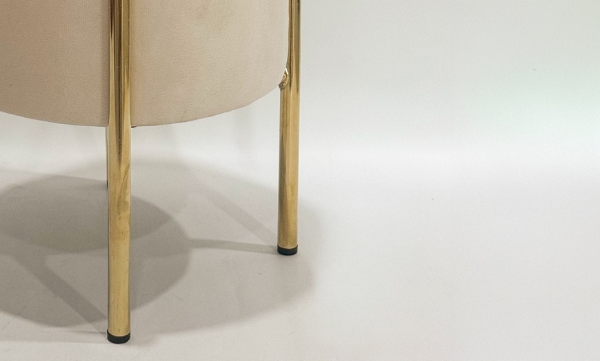 Image 8: Pouf contenitore in velluto