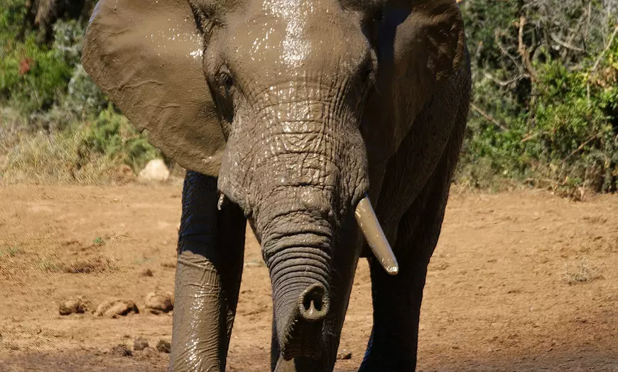 Image 2: Darwin Wildlife Escape: 3 Nights with Wetlands & Crocodile Cruise