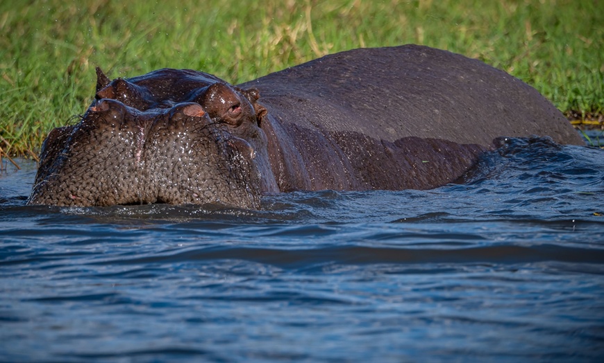 Image 32: 8-Day Yoga & Safari Retreat