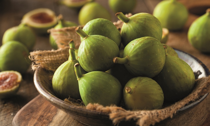 Image 1: Green Fig Fruit Tree - 1 or 2 Potted Plants