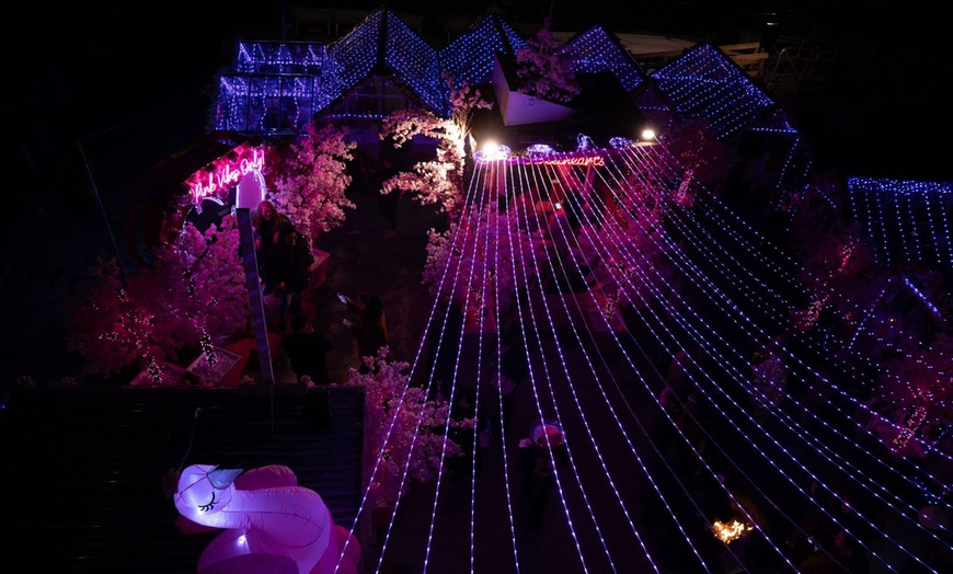 Image 7: VIP General Admission with Flex Pass Ticket to Pink Pier