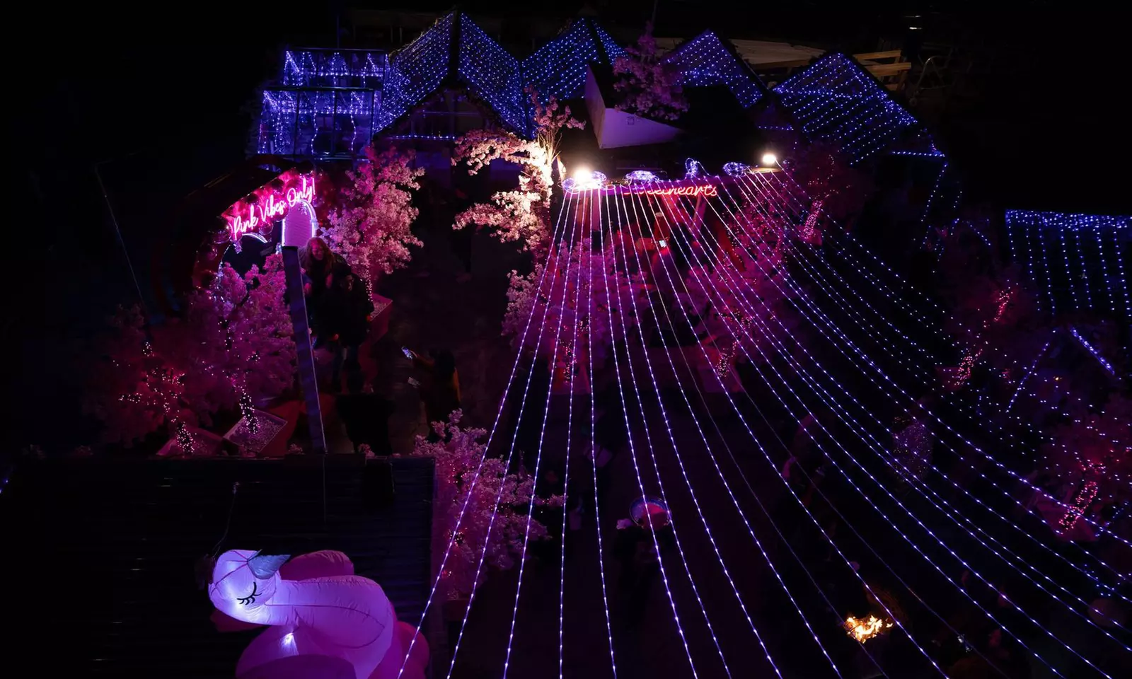 VIP General Admission with Flex Pass Ticket to Pink Pier