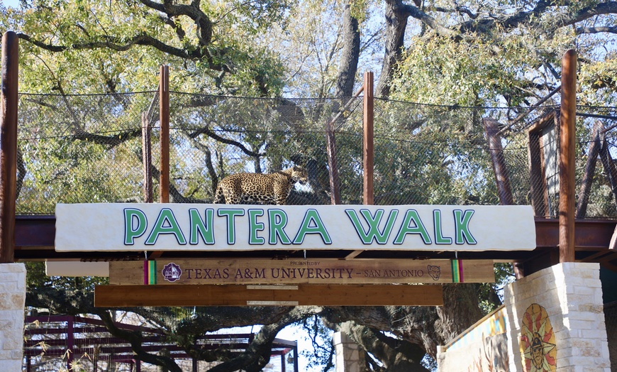 Image 13: FLASH SALE! Exhilarating Wildlife Adventure at San Antonio Zoo!