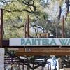 Image 11: FLASH SALE! Exhilarating Wildlife Adventure at San Antonio Zoo!