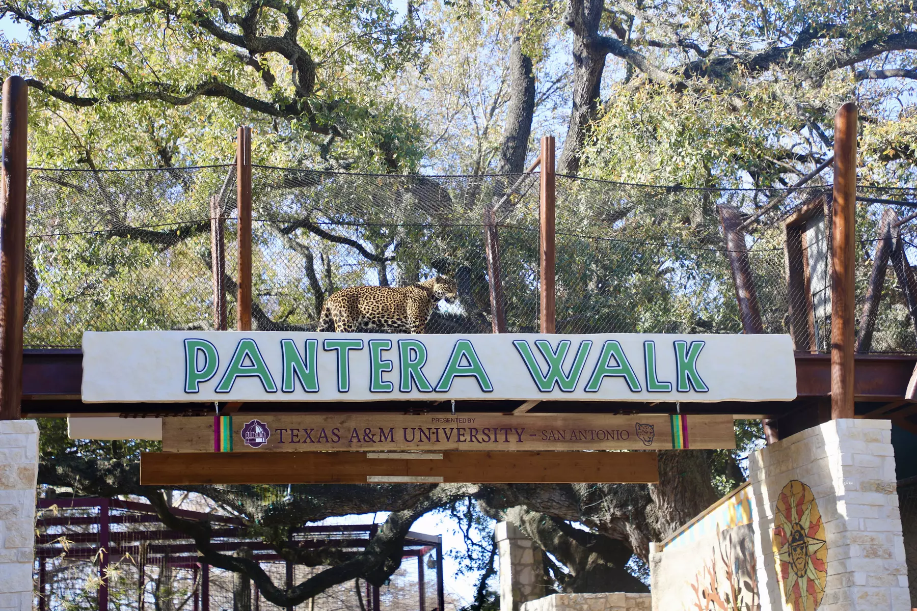San Antonio Zoo Discount Tickets & Savings!