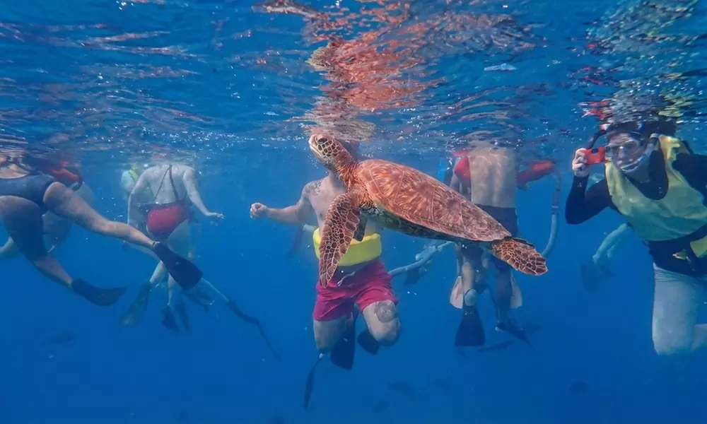 Kāneʻohe Sandbar Adventures