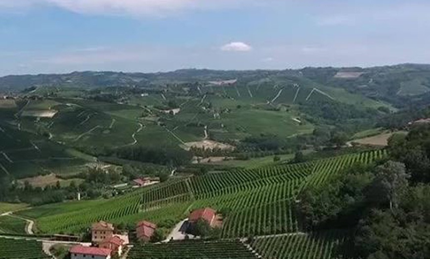 Image 2: Tour cantine e assaggio di vini da Vite Colte