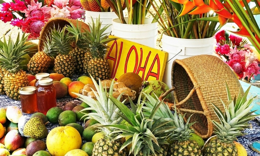 Image 10: Up to 65% Off Oahu Full-Day Island Tour - Aloha Fantasy Tours
