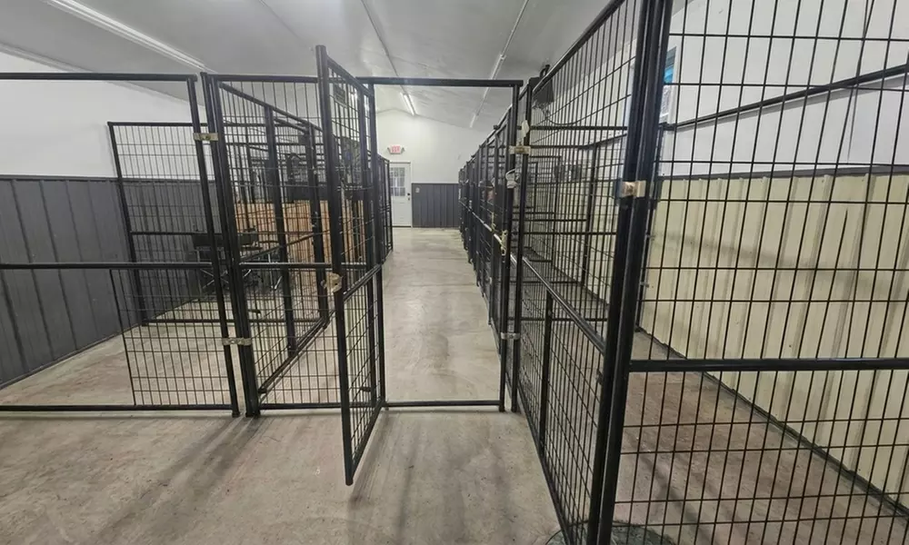 Dog Boarding Stays with Daily Play and Attentive Care Options