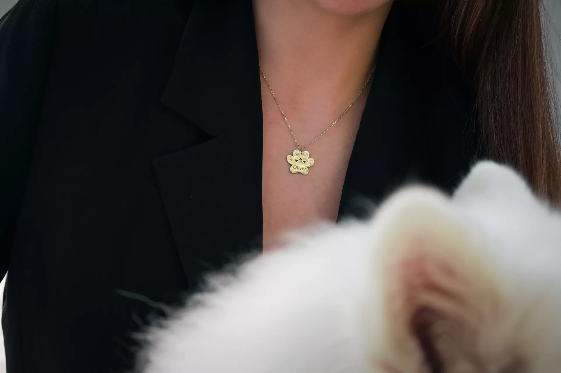 Custom Pet Jewelry: Paw Print & Portrait Necklaces & Earrings