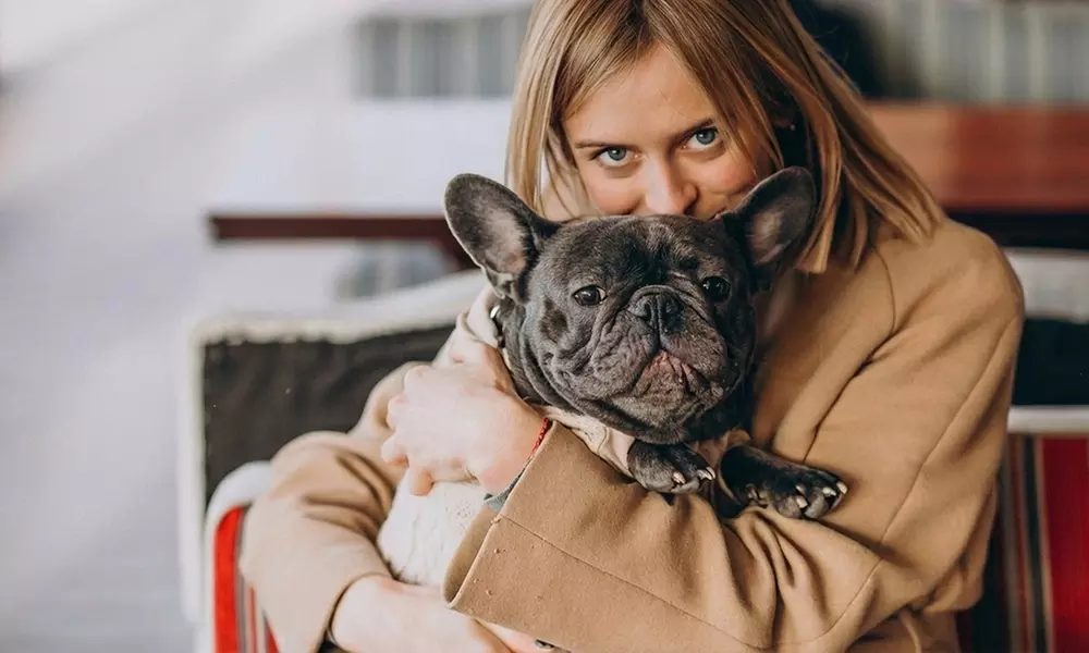 Peluquería canina para cuidar y mimar a tus Perros