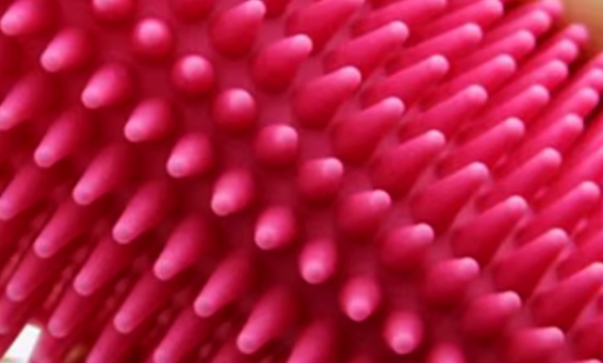 Image 8: 3Pcs Brushes For Pet